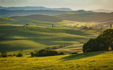 Toskana yeşil tepeler