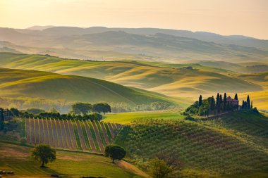 green hills in Tuscany clipart