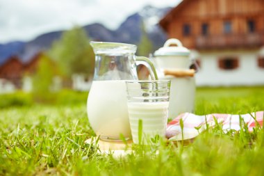 yemekleri süt duran çimenlerin üzerinde