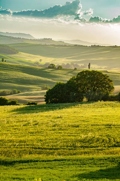 Collines vertes en Toscane — Photo