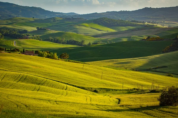 Colinas verdes em Toscana — Fotografia de Stock