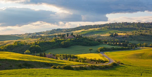 Colinas verdes em Toscana — Fotografia de Stock