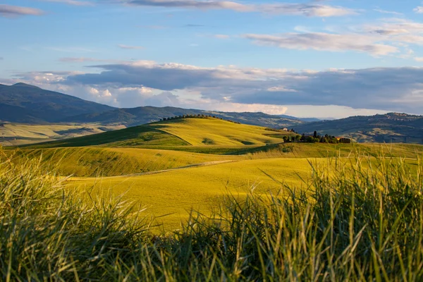 Gröna kullarna i Toscana — Stockfoto
