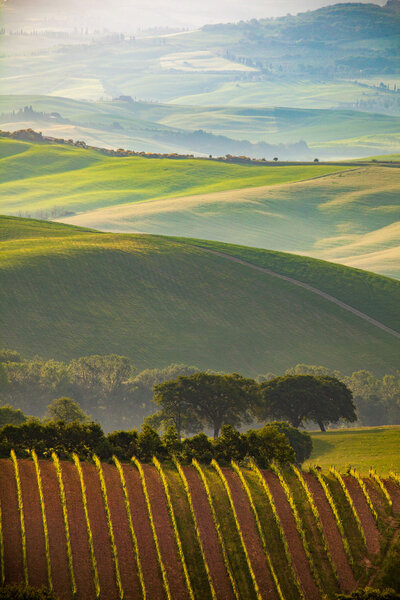 green hills in Tuscany