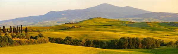 Colline verdi in Toscana — Foto Stock