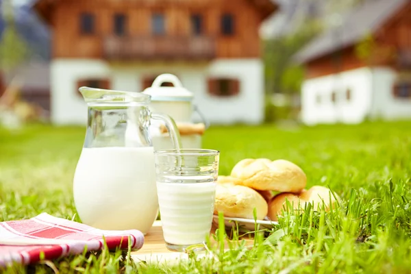 Pratos de leite em pé na grama — Fotografia de Stock