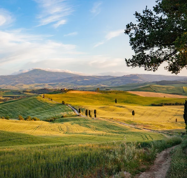 Colinas verdes em Toscana — Fotografia de Stock