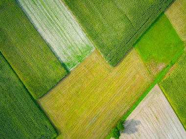 Bir alanın havadan görüntüsü