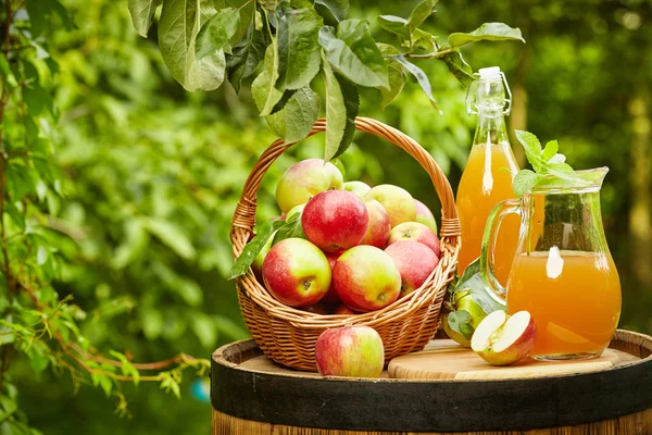 Cesta de manzanas sobre huerto de fondo — Foto de Stock