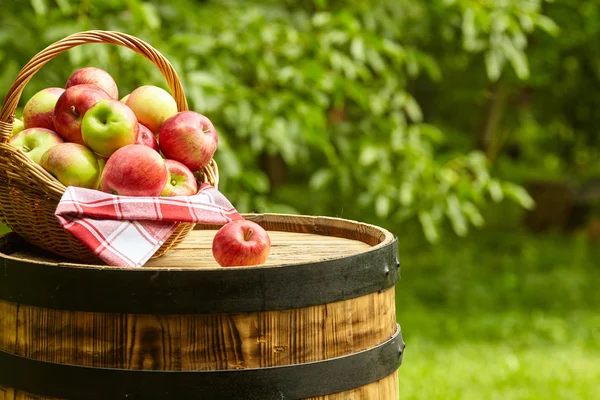 Vackra äpplen på trädgården bakgrund — Stockfoto