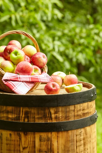 Hermosas manzanas en el fondo del jardín — Foto de Stock