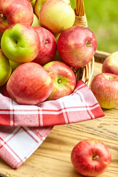 Hermosas manzanas en el fondo del jardín — Foto de Stock