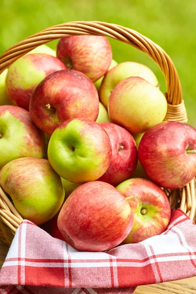 Hermosas manzanas en el fondo del jardín — Foto de Stock