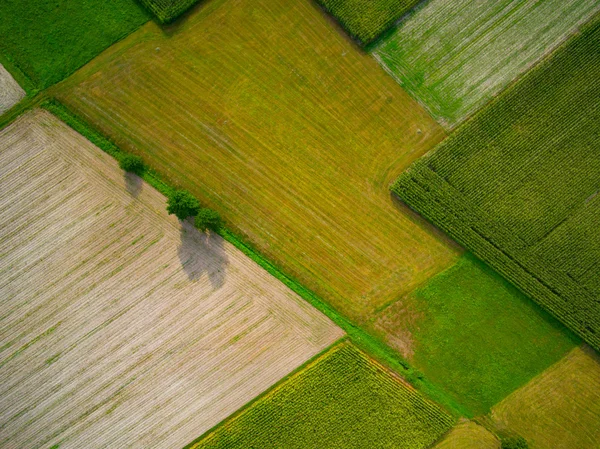 Vista aérea de un campo — Foto de Stock