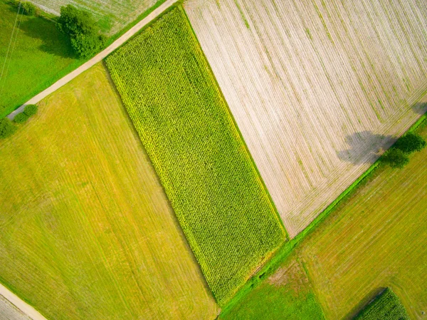 Vista aerea di un campo — Foto Stock