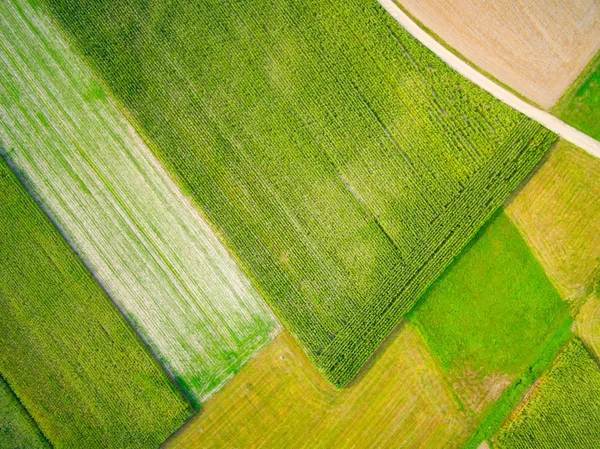 Flygfoto över ett fält — Stockfoto