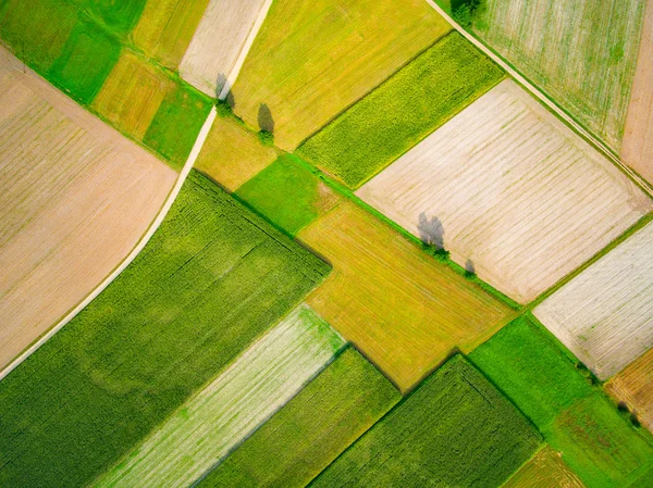 Flygfoto över ett fält — Stockfoto