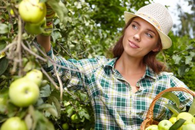 Kadın malzeme çekme olgun organik elma 