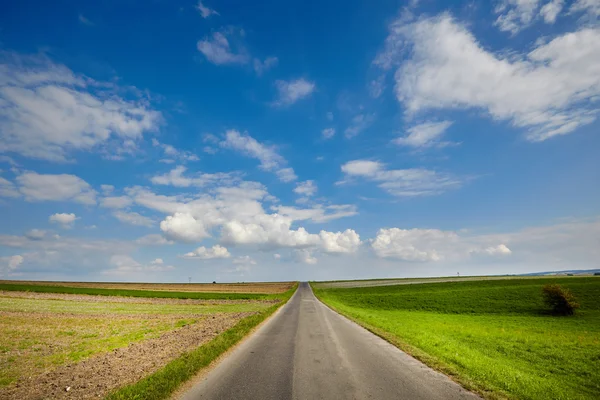 Estrada de asfalto através do campo verde — Fotografia de Stock