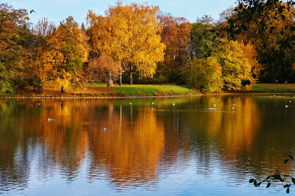 美しい秋の公園. — ストック写真