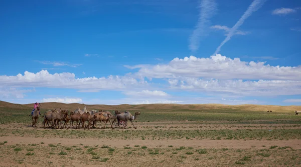 En fin typisk mongoliska landskap av jurtet. — Stockfoto