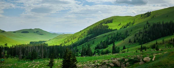 Montañas verdes paisaje — Foto de Stock