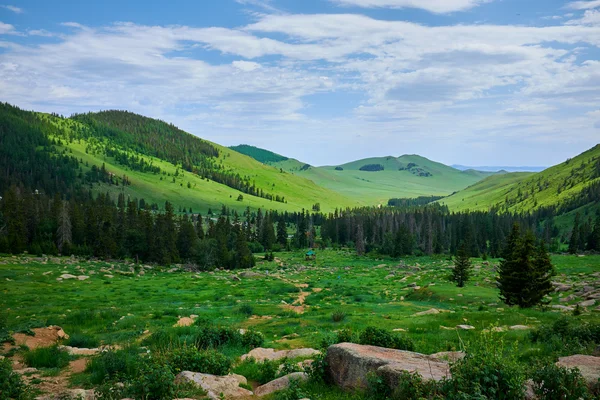 Yeşil dağlar manzarası — Stok fotoğraf