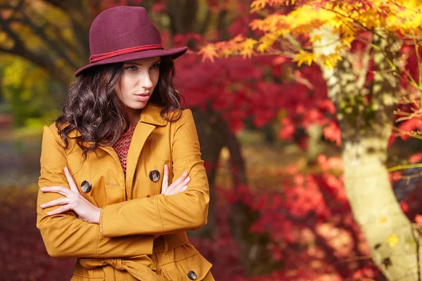 Mooie vrouw in het herfstpark — Stockfoto