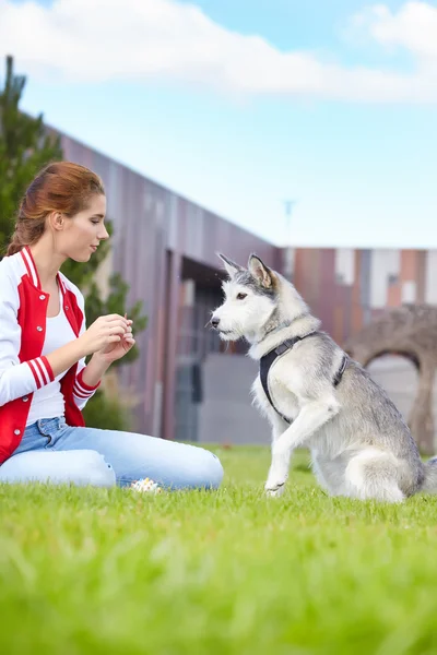 Krásná dívka si hraje se psem venku — Stock fotografie