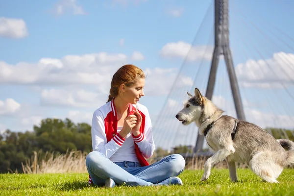 Hermosa chica jugando con perro al aire libre —  Fotos de Stock