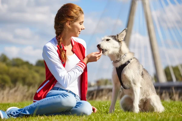 Menina bonita brincando com o cão ao ar livre — Fotografia de Stock