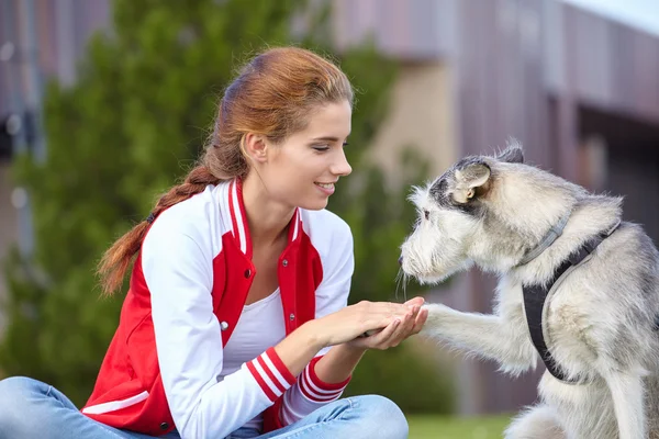 Девушка играет со своей собакой — стоковое фото