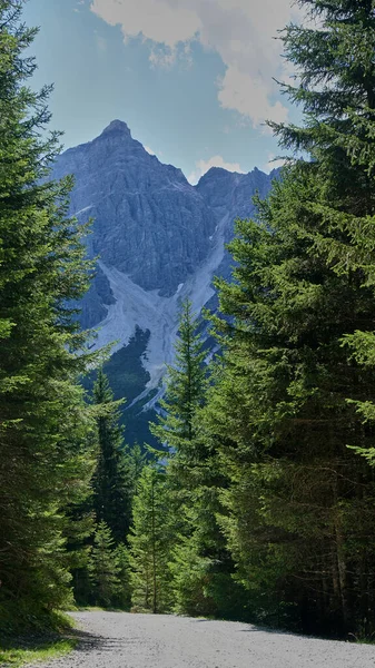 Camino Vacío Los Dolomitas — Foto de Stock
