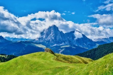 Seceda zirvesinde harika bir manzara. Trentino Alto Adige, Dolomites Alps, Güney Tyrol, İtalya, Avrupa. Odle dağ sırası, Val Gardena. Majestic Furchetta zirvesi. Sabah güneşinde mor çiçekler.                    