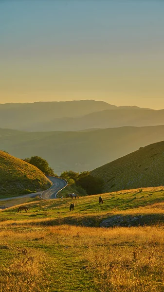 Slavná Náhorní Plošina Přírodním Parku Monti Sibillini Perugia Umbria Itálie — Stock fotografie