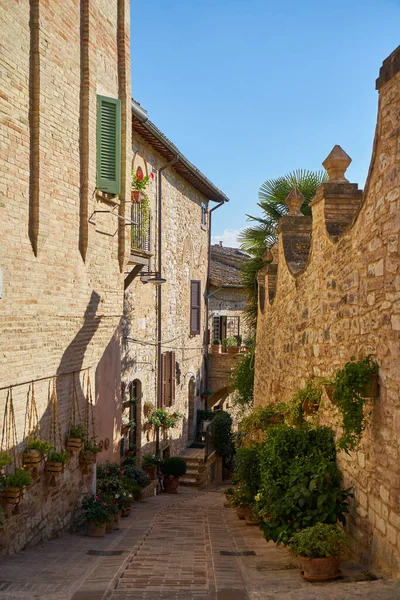 Rua Típica Italiana Uma Pequena Cidade Provincial Toscana Itália Europa — Fotografia de Stock