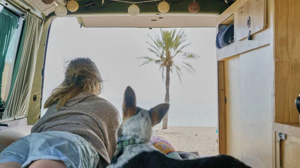 girl and her dog on a bed of a self converted camper van looking through the window living van life