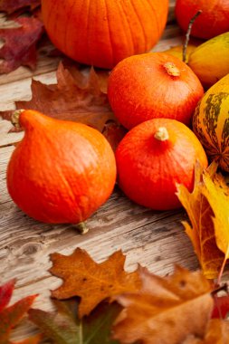 Şükran günü için natürmort hasat dekorasyon