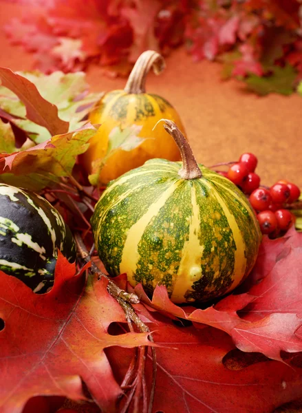 Autumnal background with pumpkins and leaves — Stock Photo, Image
