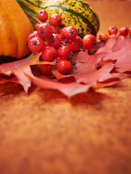 Autumnal background with pumpkins and leaves — Stock Photo, Image