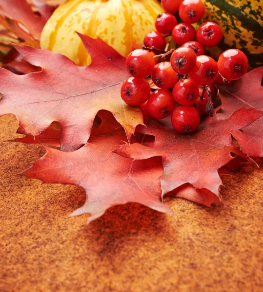 Autumnal background with pumpkins and leaves — Stock Photo, Image