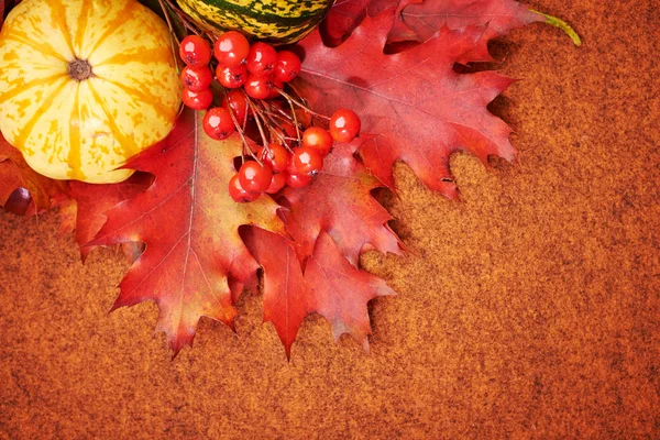 Autumnal background with pumpkins and leaves — Stock Photo, Image