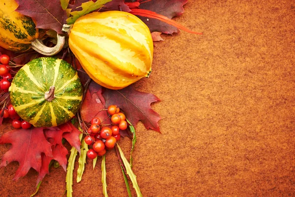 Autumnal background with pumpkins and leaves — Stock Photo, Image