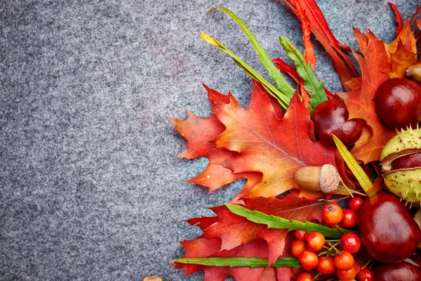 Nüsse und Beeren auf herbstlichem Hintergrund — Stockfoto