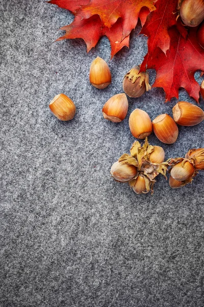 Nuts and berries on autumn background — Stock Photo, Image