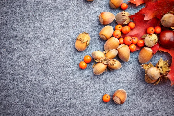 Nuts and berries on autumn background — Stock Photo, Image