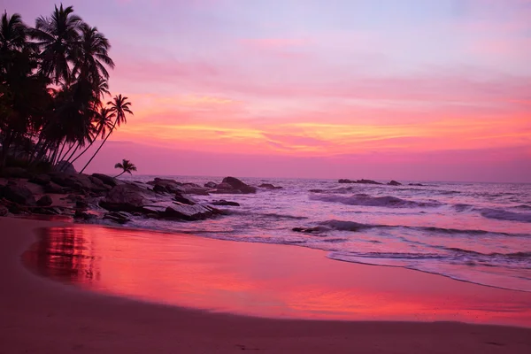 Zonsondergang en tropisch strand — Stockfoto