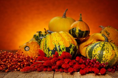 Tahta masadaki balkabakları