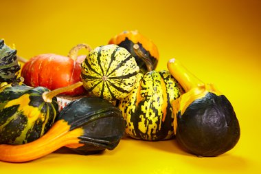 Mevsimsel kabak ile sonbahar