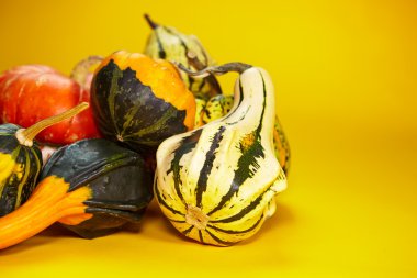 Mevsimsel kabak ile sonbahar